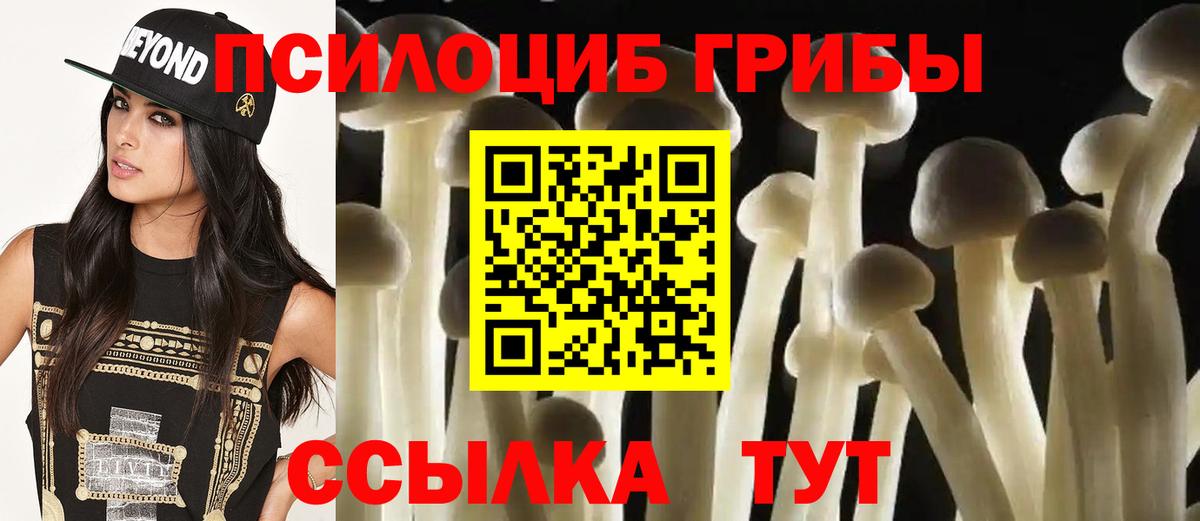 Знаменск  Псилоцибиновые грибы MAGIC MUSHROOMS  Вход с VPN  Псилоцибиновые грибы GOLDEN TEACHER 